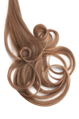 Curly brown hair isolated on white background. Circle shaped