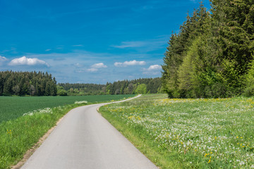 Fototapeta na wymiar Beautiful road in the nature. Blue sky and green meadows beautiful surroundings to make a trip by car on the road