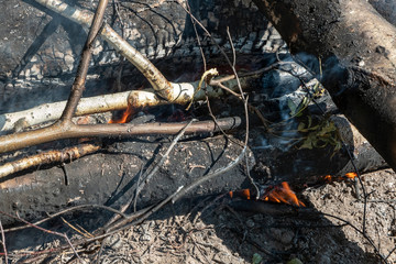 Burnt wooden logs close-up. Build a fire.