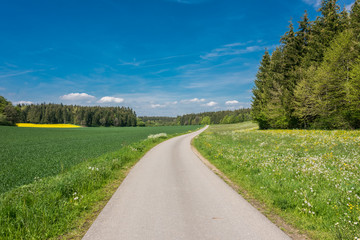 Obraz premium Beautiful road in the nature. Blue sky and green meadows beautiful surroundings to make a trip by car on the road