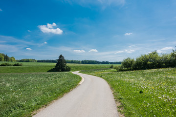 Green field with yellow flowers and blue sky. Panoramic view to grass on the hill on sunny spring day