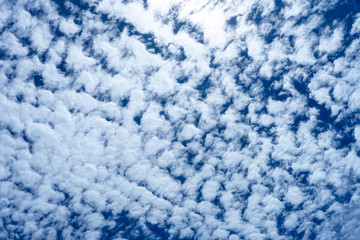 Blue sky background with white clouds.