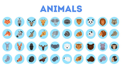 Animal head set. Collection of wild animal face