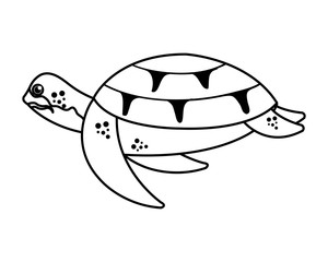 turtle animal nature icon vector illustration