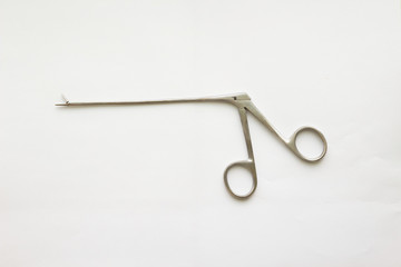 alligator or crocodile forceps on white background