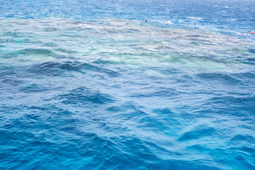 White Island Africa Egypt Snorkeling Boat Trip water background.