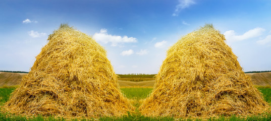 Agricultural landscape stack hay
