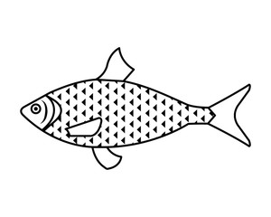sea fish animal icon vector illustration