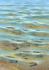transparent sea water with fishes watercolor background