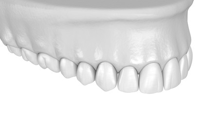 Maxillary human gum and teeth in white style. Medically accurate tooth 3D illustration