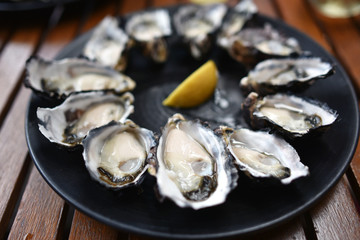 fresh oysters