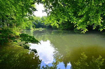 Waldsee in der Gemarkung Bonsweiher in der Gemeinde Mörlenbach, Kreis Bergstrasse, Hessen,...