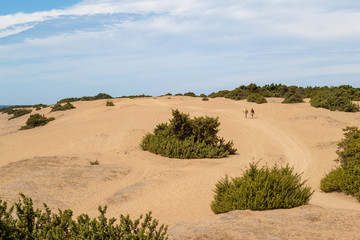 A large sandy dune with green bushes аnd a trail with a couple of tourists in the distance., Issos Beach, Corfu Island, Greece.