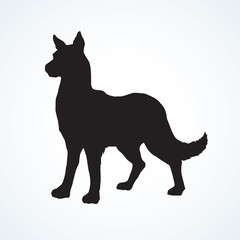 Wolf. Vector drawing