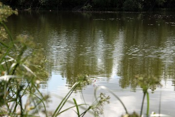 ripples in the water of a lake with grass in the foreground and a small float in the distance