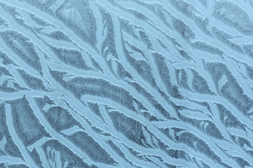Hoarfrost texture as background