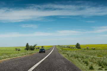 desert road dividing line