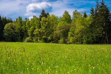 Spring in Hellenthal