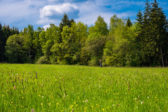 Spring in Hellenthal