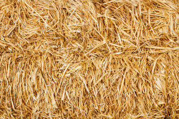 Fondo textura de fardo seco. Vista de frente y de cerca