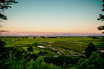Scenic rice fields view Niigata Japan