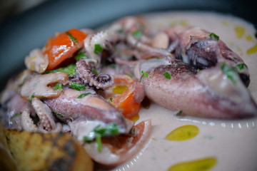 Squids in Sauce Macro