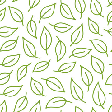 Leaf background. Green, white seamless pattern with leaves in minimal line doodle style. Decorative repeat package backdrop