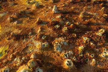 Acid concretions in Dallol site in the Danakil Depression in Ethiopia, Africa