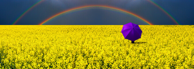 Lonely umbrella among the field with blossom rapeseed, just before thunderstorm, concept of weather...