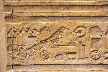 Hieroglyphs in the Temple of Horus  in Edfu