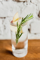 A vertical image of a refreshing gin and tonic with rosemary and apple in a highball glass. Selective focus.