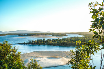 Obraz premium Landscape with river and mangrove Nambucca Heads Australia