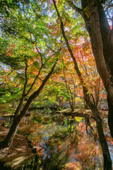 Autumn in Karuizawa Nagano Japan