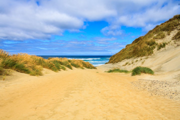 Fototapeta na wymiar The sand dunes at Sandfly Bay
