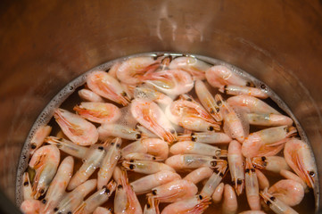 shrimp in the pan