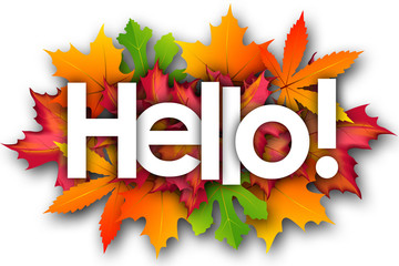 hello word and autumn leaves background © nali