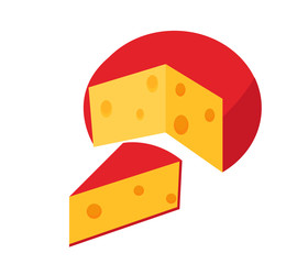 cheese vector illustration on white