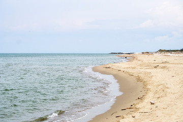 Scenic wild sandy beach in the Natural Park of Migliarino San Rossore Massaciuccoli. Near Pisa, in Tuscany, Italy. Wide open, deserted.