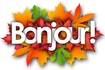 bonjour word and autumn leaves background © nali