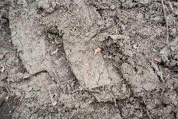 Dry trail from the wheels