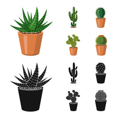 Isolated object of cactus and pot symbol. Collection of cactus and cacti stock vector illustration.