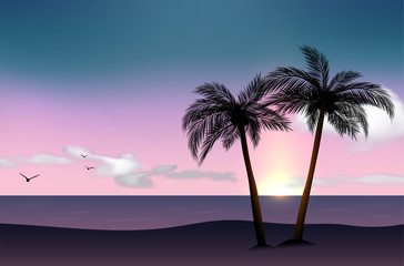 Sunset on sea coast with palm trees