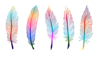 Set abstract feather. Vector illustration. EPS 10.