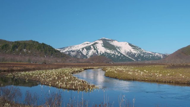 至仏山とミズバショウ