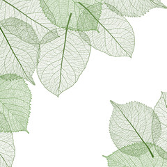 Beautiful background with green leaves . Vector illustration. EPS 10