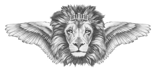 Portrait of Lion with wings. Hand-drawn illustration. 