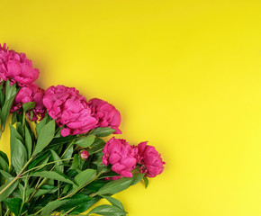 bunch of red peonies with green leaves on a yellow background