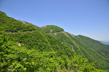 Naklejka premium ドライブウェイ