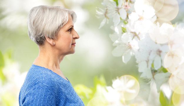 old people concept - portrait of senior woman in blue sweater over natural spring cherry blossoms background