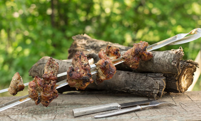 Two skewers of meat roasted on an open fire. Active rest on nature